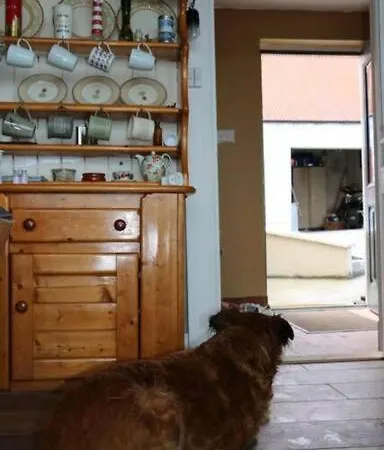 Hébergement de vacances Mccormacs